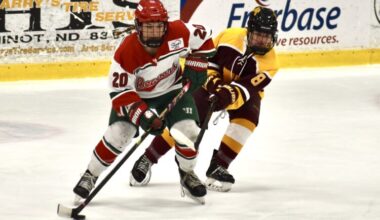 MSU hockey No. 3 heading into nationals | News, Sports, Jobs