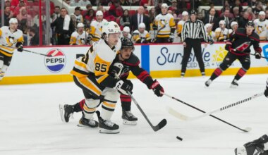 Penguins Recalls: Hayes, Koppanen Back