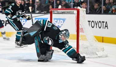 What Led Nedeljkovic Back to Sharks?