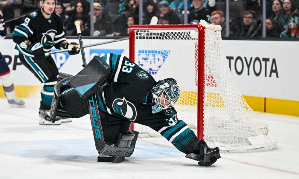 What Led Nedeljkovic Back to Sharks?