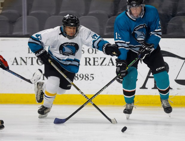 Mark Belinsky (47), from Los Altos, plays in the "Over 60 Division" of the Master's League at Tech CU Arena in San Jose, Calif., on Monday, March 9, 2026. (Nhat V. Meyer/Bay Area News Group)