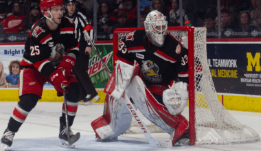 sebastian Cossa, grand rapids griffins