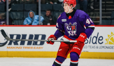 Axel Sandin-Pellikka, grand rapids griffins