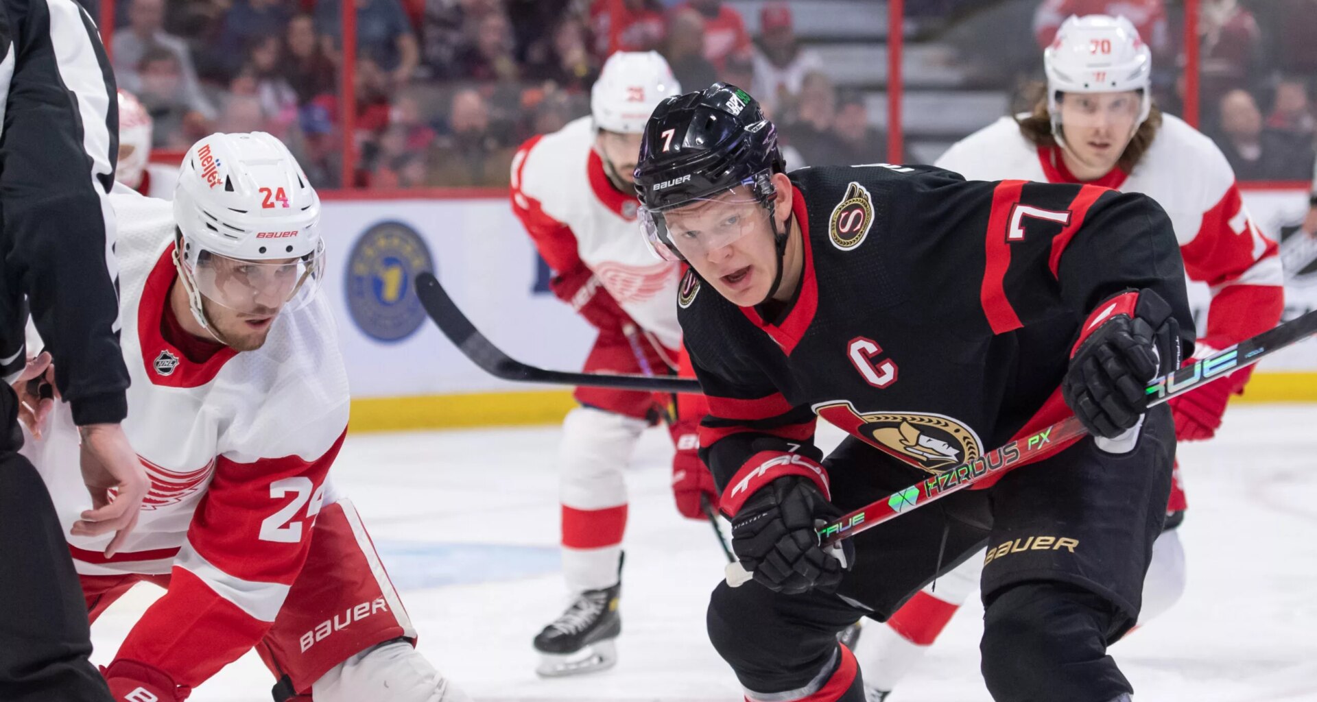Sens Edition vs Wings with Valuable Points On the Line