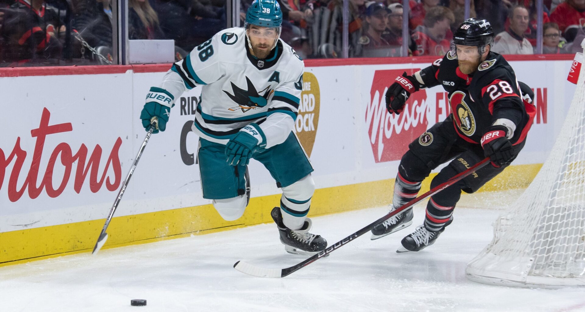 San Jose Pays a Visit to Ottawa during Playoff Stretch Run