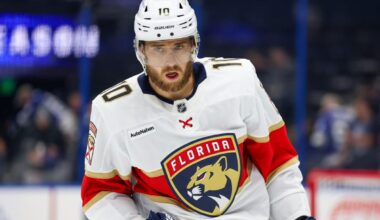 Panthers’ A.J. Greer suspended three games for boarding