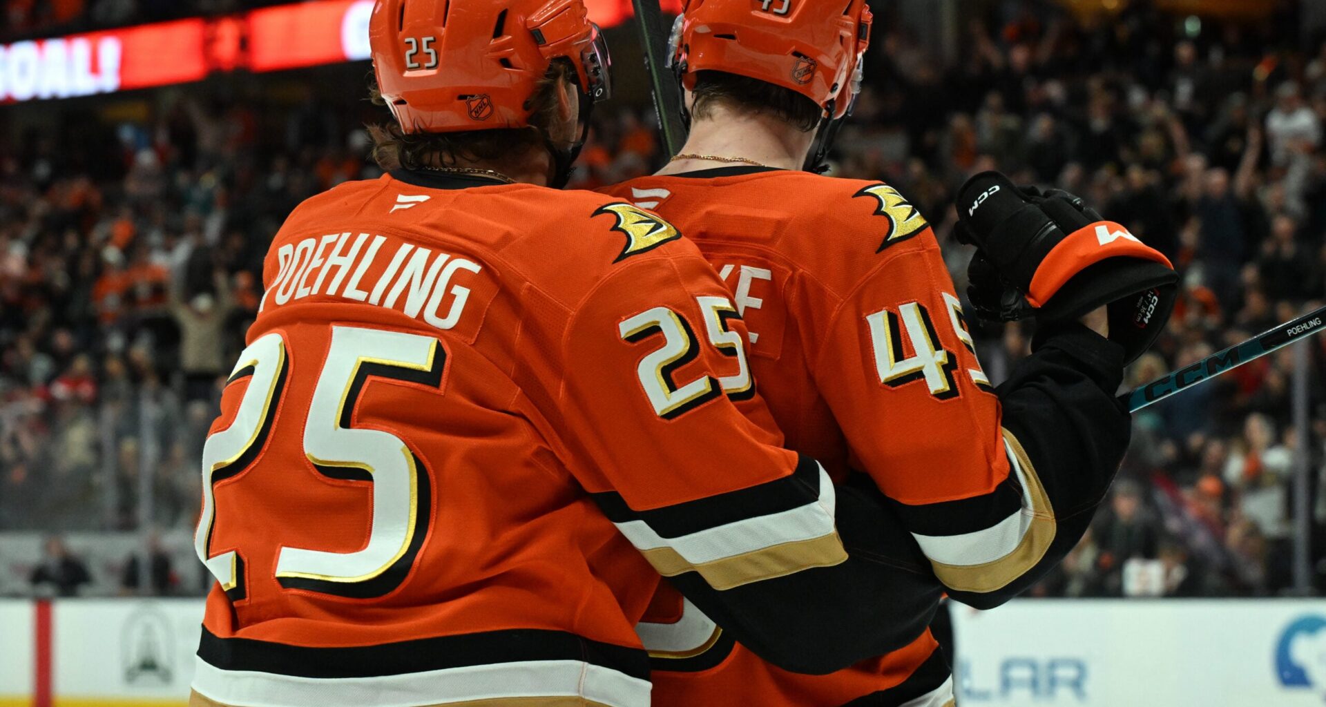 Ducks Sign a Depth Forward Who Has Excelled in 25-26