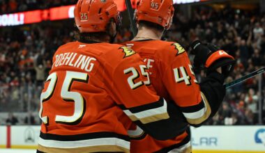 Ducks Sign a Depth Forward Who Has Excelled in 25-26