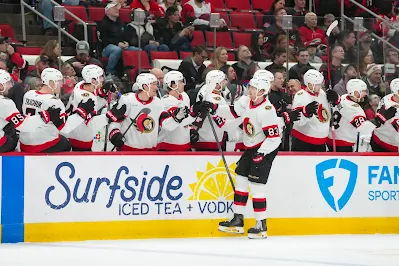 Ottawa Senators forward Stephen Halliday