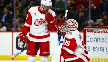 Red Wings continue to slide in playoff race