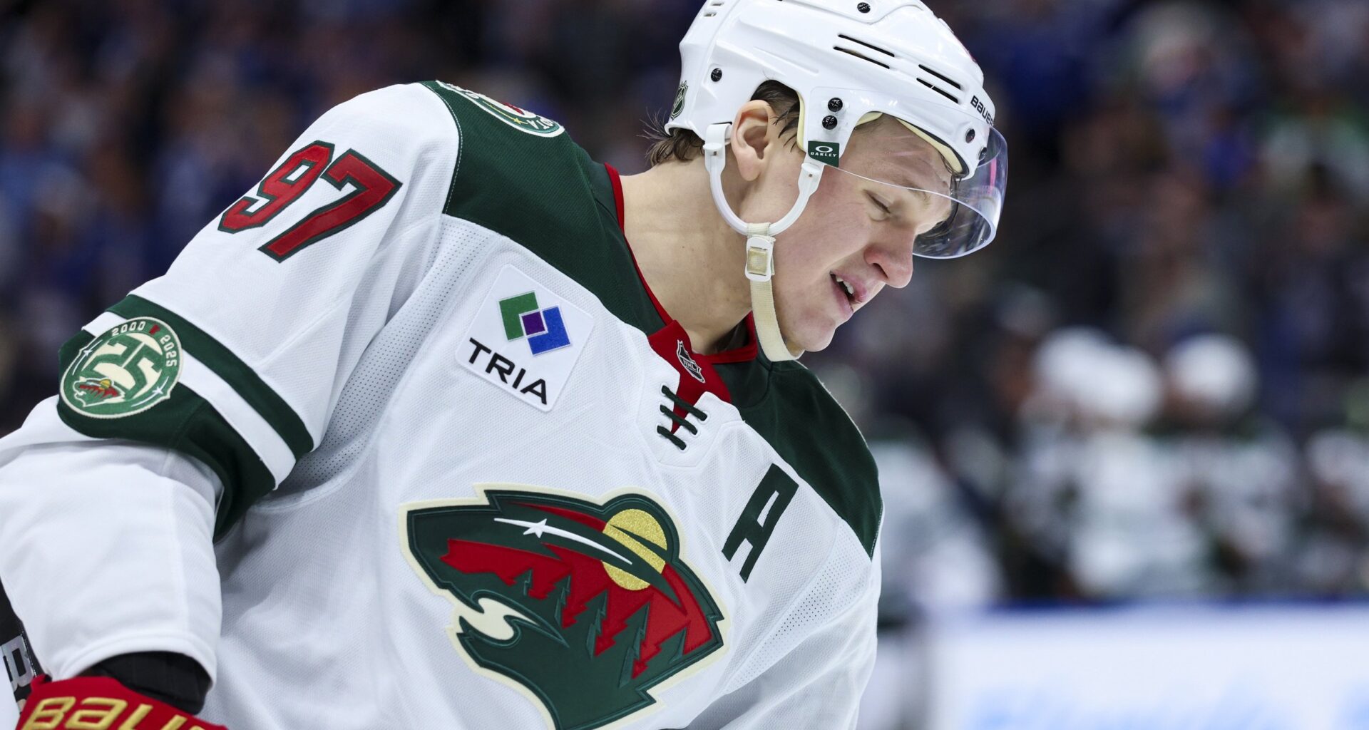 Wild Already Facing Must-Win Game vs. Panthers - Wilderness Walk