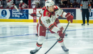 Detroit Red Wings Recall Prospect