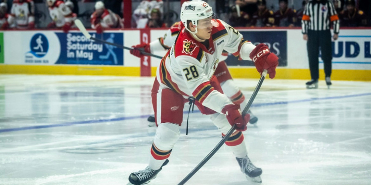 Detroit Red Wings Recall Prospect