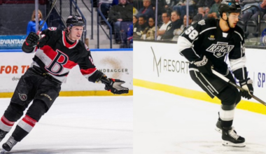Ottawa Senators & Los Angeles Kings Swap AHL Players 
