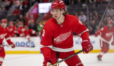 Red Wings' Playoff Chances Moving Backwards