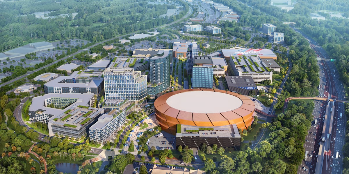 Proposed Alpharetta arena would be among NHL’s largest