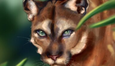 Florida panthers made a comeback in the ‘90s — where do they stand now?