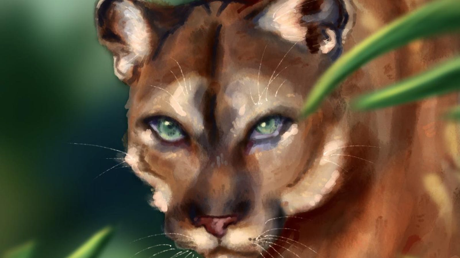 Florida panthers made a comeback in the ‘90s — where do they stand now?