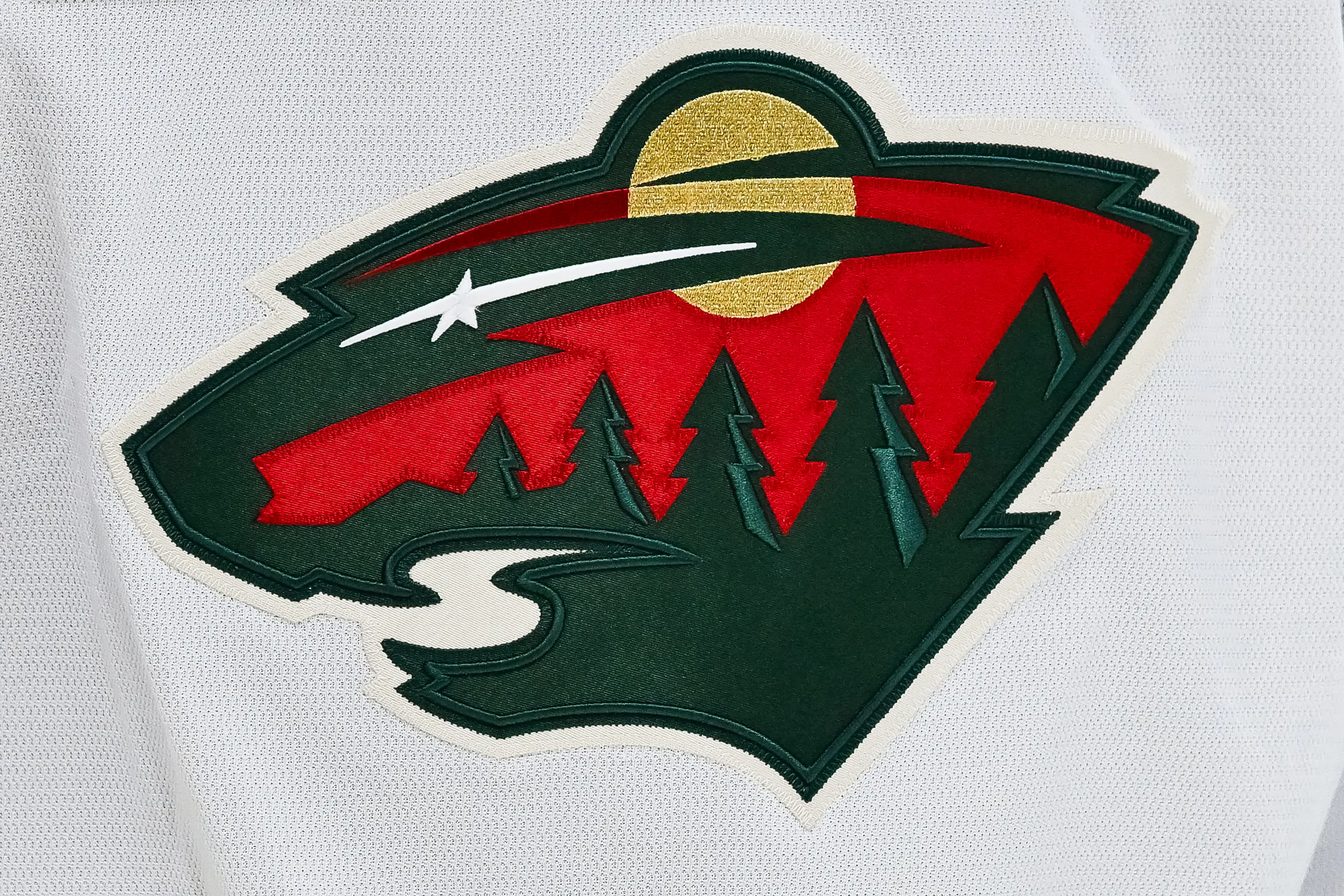 Jessi was a reporter covering Minnesota Wild (David Kirouac/Icon Sportswire via Getty Images)