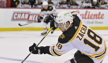 NHL Waiver Wire: Key Hockey free agents, including Pavel Zacha