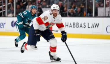 Minnesota Wild Make Another Trade, Land FLA Defenseman