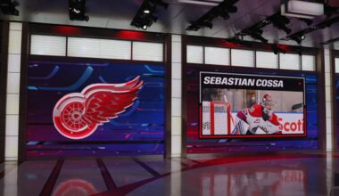 Griffins Goalie Heads to Detroit After Gibson Injury