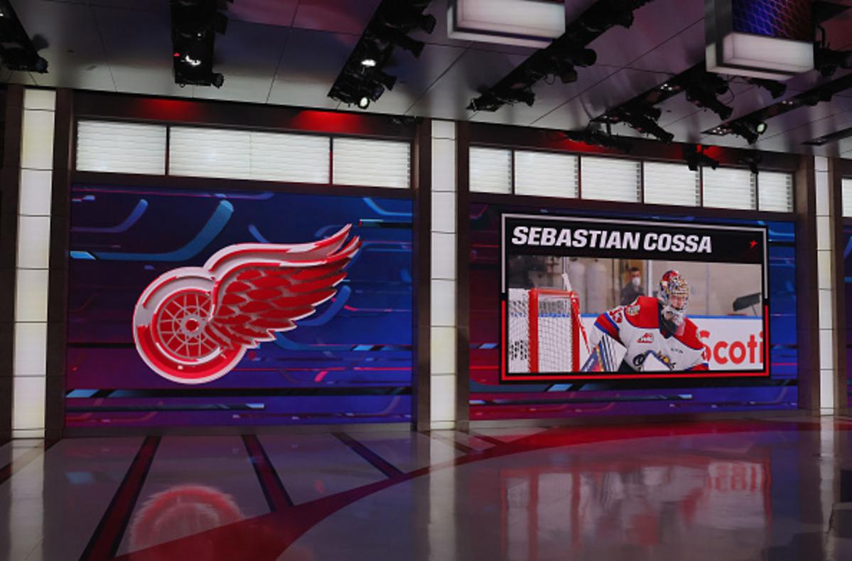 Griffins Goalie Heads to Detroit After Gibson Injury