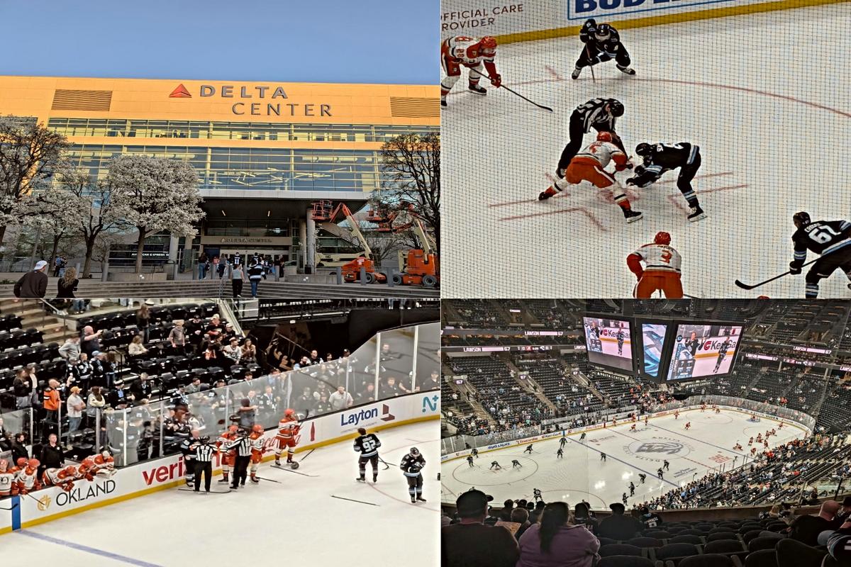 Utah's Pro Hockey Team Has A Bright NHL Future