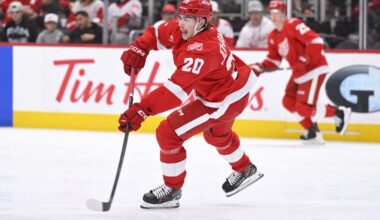 Albert Johansson, Red Wings