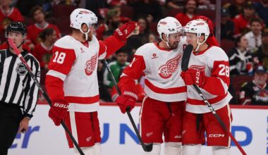 Michael Brandsegg-Nygard, Red Wings