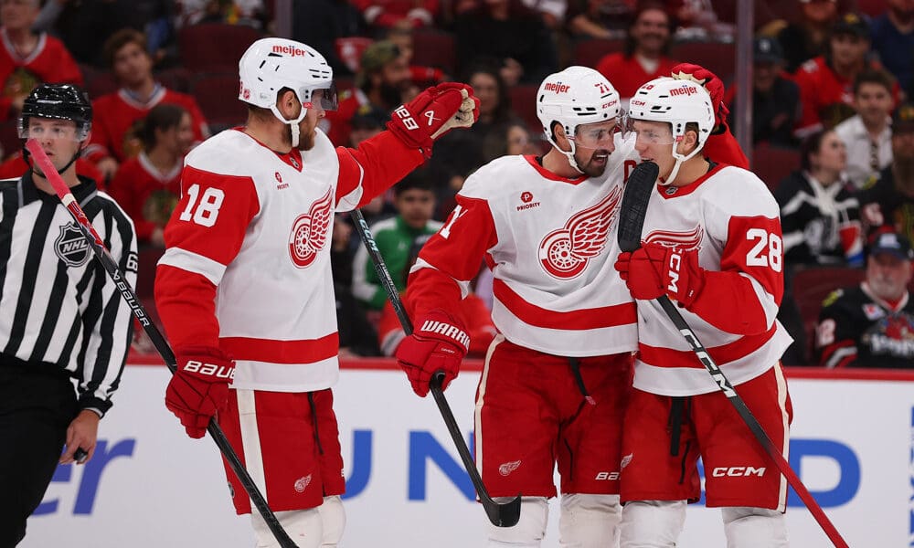 Michael Brandsegg-Nygard, Red Wings