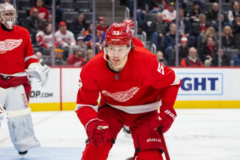 Moritz Seider, Red Wings