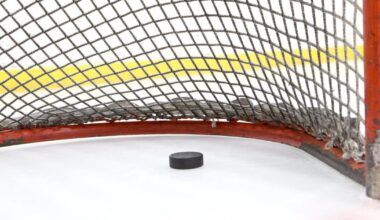 Mercyhurst to drop Division I men's hockey program