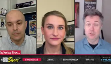 Ducks' Gudas Wants To Play In Maple Leafs Rematch 'No Matter What' Despite Injury