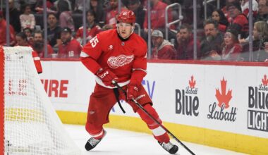 Pittsburgh Penguins trade for big winger from Detroit