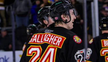 Bruins Prospect Notebook: Gallagher Dominating for Providence, College Conference Semis