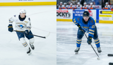 Springfield Thunderbirds | Blues Recall Stenberg, Lindstein from…