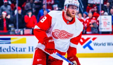 Andrew Copp, Red Wings