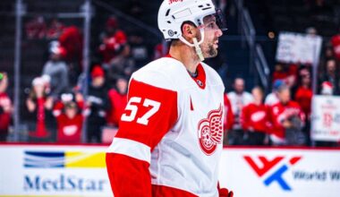 David Perron, Red Wings