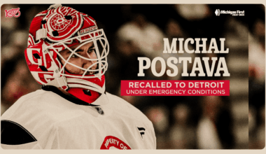 Red Wings recall Michal Postava from Grand Rapids under emergency conditions