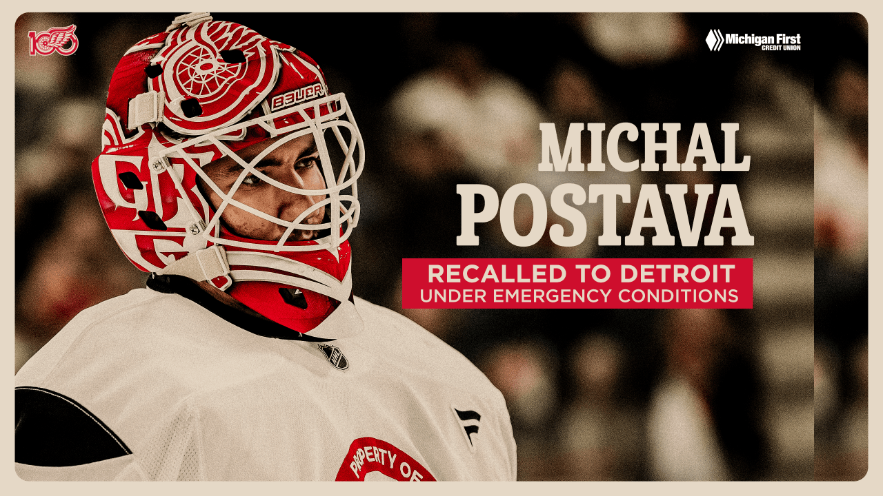 Red Wings recall Michal Postava from Grand Rapids under emergency conditions