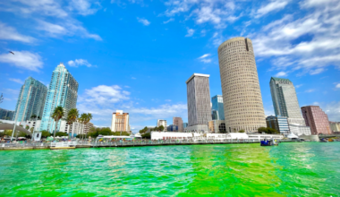 Things to do in Tampa Bay this weekend |March 13-15