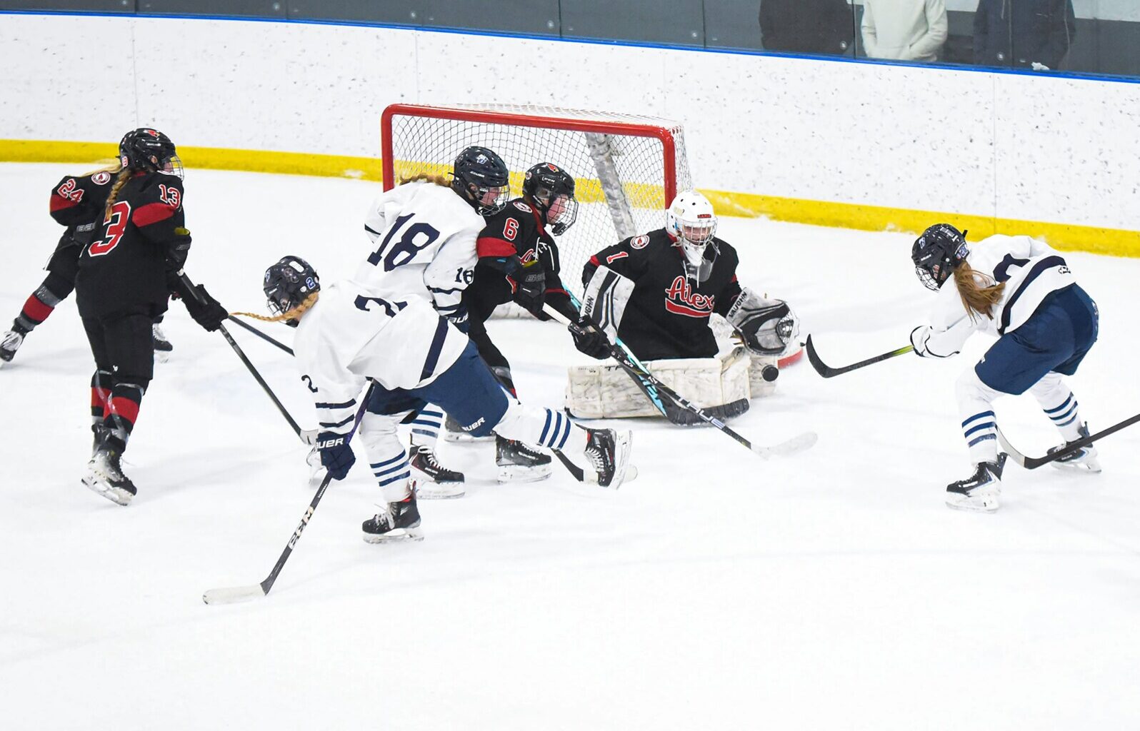 Girls Hockey: Alexandria's Victoria Meyers wins Central Lakes Conference goalie of the year - Alexandria Echo Press
