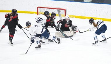 Girls Hockey: Alexandria's Victoria Meyers wins Central Lakes Conference goalie of the year - Alexandria Echo Press
