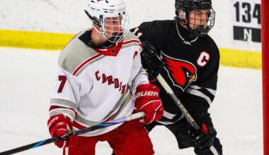Boys Hockey: Alexandria nets three all-Central Lakes Conference hockey team members - Alexandria Echo Press