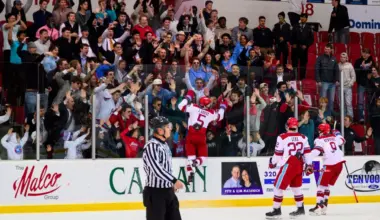 St. John's hockey returns to NCAA Division III tournament for 1st time since 2013
