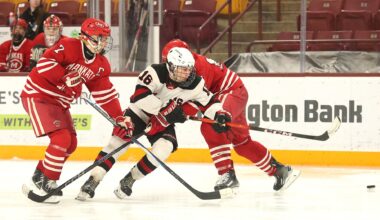 Boys Hockey: Mankato West tops Northern Lakes in state consolation semis - Brainerd Dispatch