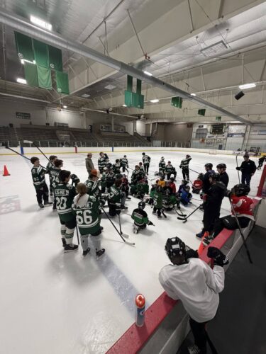 Alpena Hockey Association celebrates 52 years of youth hockey excellence | News, Sports, Jobs