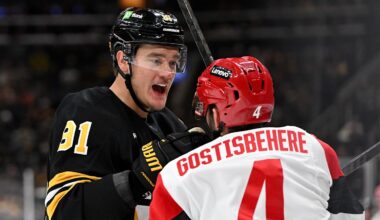 Nov 17, 2025; Boston, Massachusetts, USA; Boston Bruins defenseman Nikita Zadorov (91) shoves Carolina Hurricanes defenseman Shayne Gostisbehere (4) after a whistle during the third period at the TD Garden. Mandatory Credit: Brian Fluharty-Imagn Images