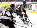 Rowan Topp pokes the puck off Harry Nansi's stick behind the net during a game between the Owen Sound Attack and Guelph Storm.